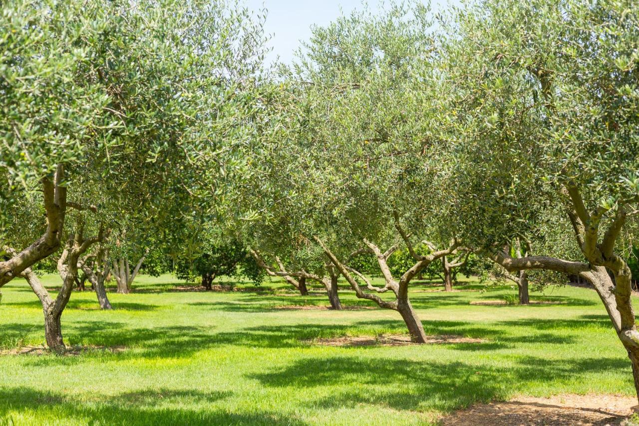 Villa Lagoon Sa Pobla Eksteriør billede